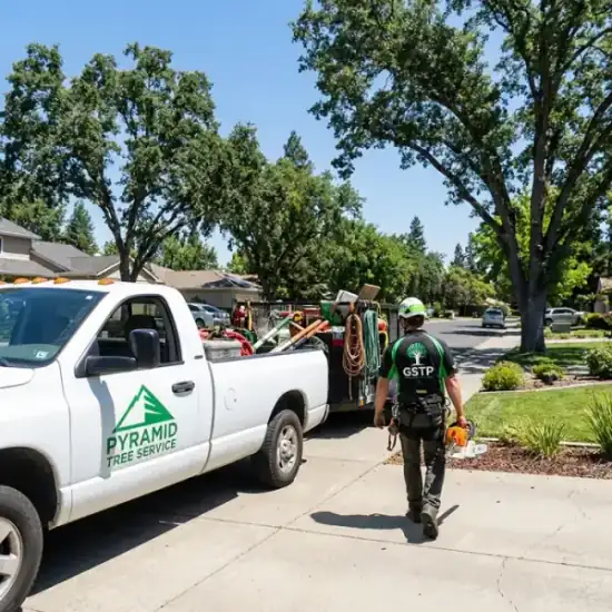 Arbor Spirit Tree Care truck arriving at a Honolulu residential job