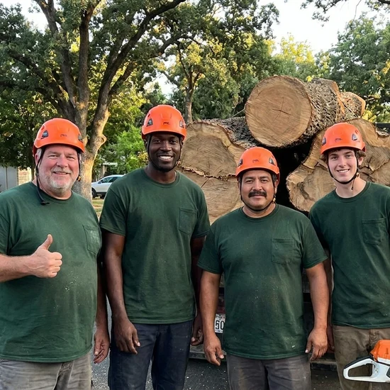 Arbor Spirit tree crew with a truck loaded with oak logs in Honolulu