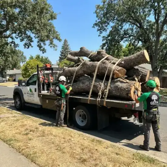Tree service truck loaded with branches after a Honolulu job
